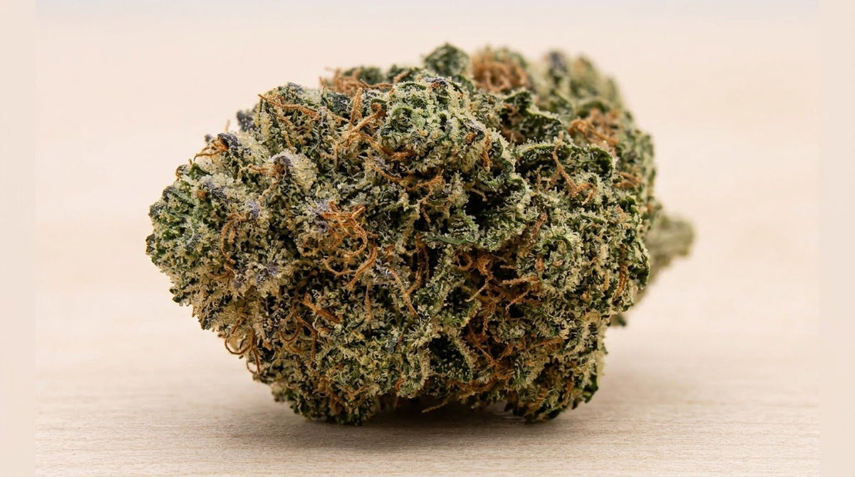 Critical — 5 g du Pack découverte fleurs CBD 15 g