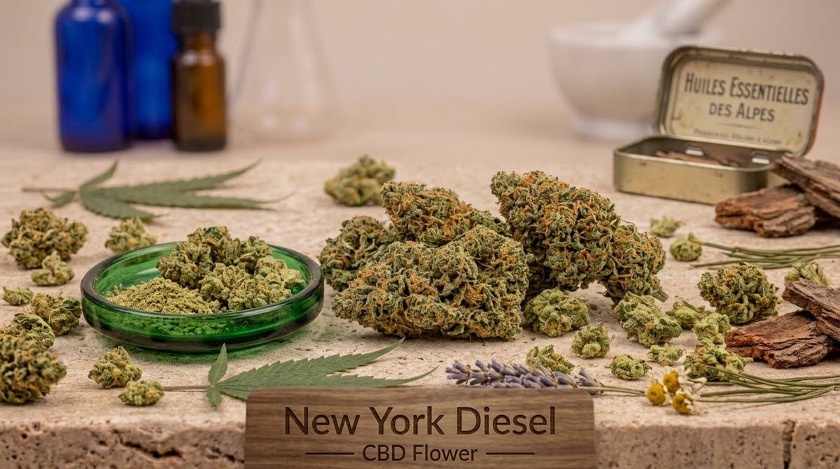 Fleur de CBD New York Diesel 19% Indoor - Fleurs de CBD