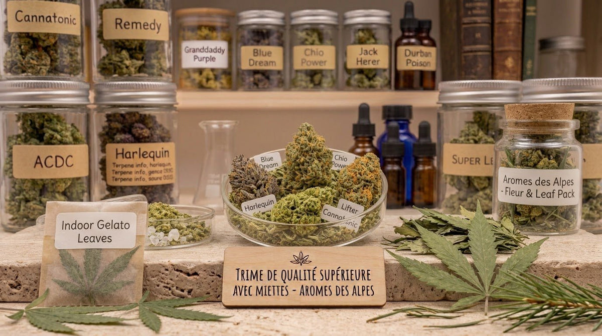 Pack maxi de fleurs de CBD indoor grand format, plusieurs variétés assorties