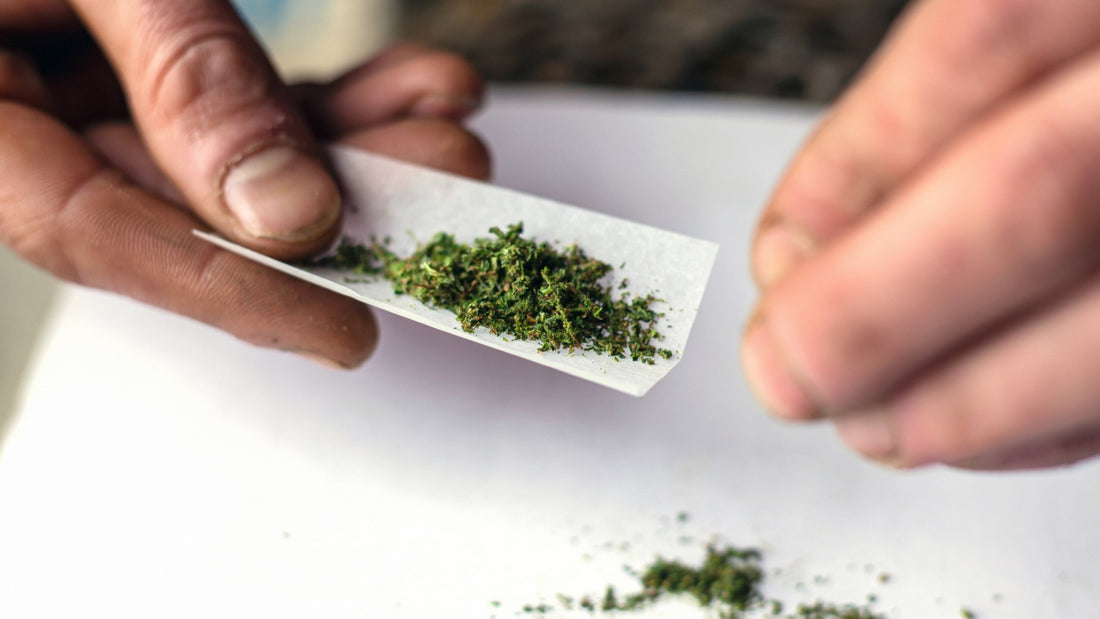 Comment diminuer l'usage addictif de la marijuana - Arrêtez de fumer du THC - Fleurs de CBD