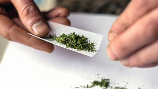 Comment diminuer l'usage addictif de la marijuana - Arrêtez de fumer du THC - Fleurs de CBD