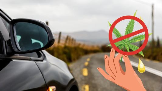 Le CBD altère-t-il la conduite automobile ? - Fleurs de CBD