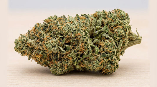 Fleur de CBD Gelato 11% Indoor
