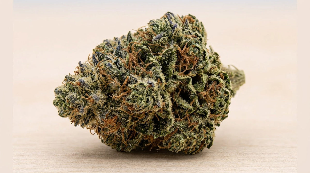 Fleur de CBD Super Skunk 18% Indoor