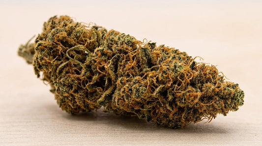 Fleur de CBD Strawberry Premium 29% Greenhouse