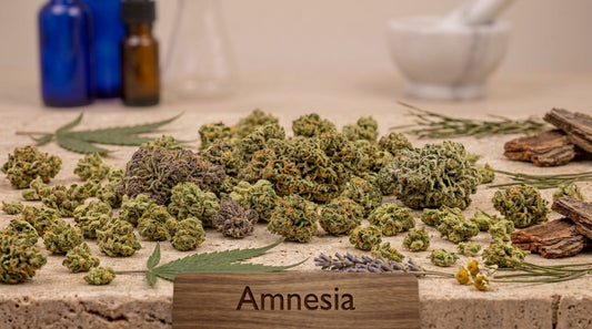 Small Bud CBD Mango 13% Pas Cher