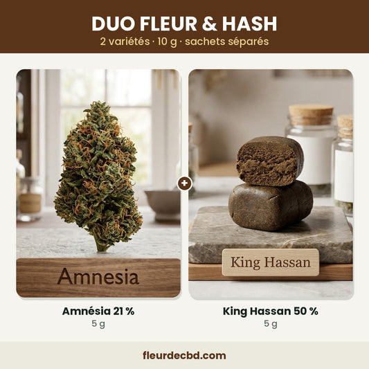 Duo fleur et hash CBD : Amnésia et King Hassan