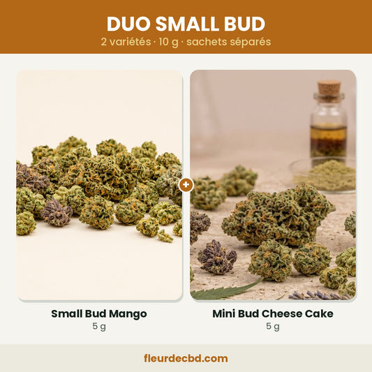 Duo Small Bud CBD : Mango et Cheese Cake, 2 x 5 g