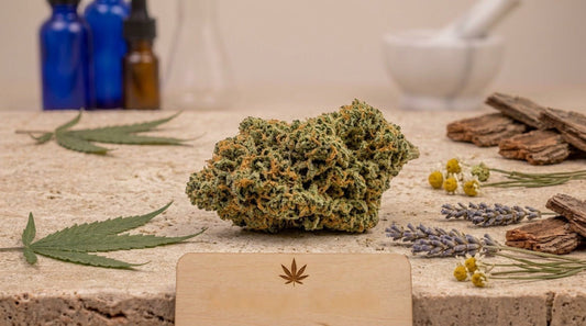 Têtes de fleur CBD OG Kush indoor
