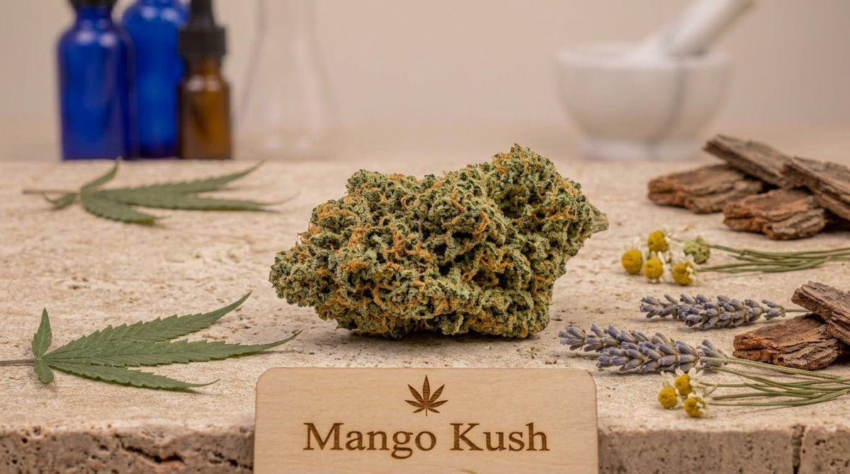 Têtes de fleur CBD OG Kush indoor