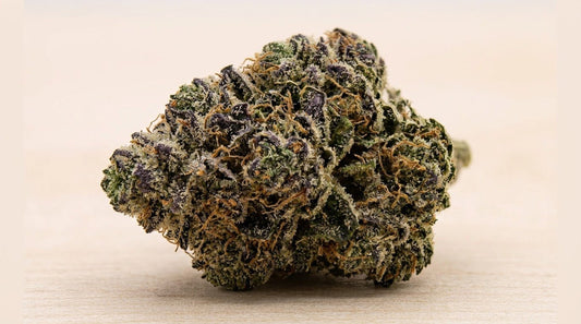 Fleur de CBD Silver Haze 18% indoor, génétique haze épicée et citronnée