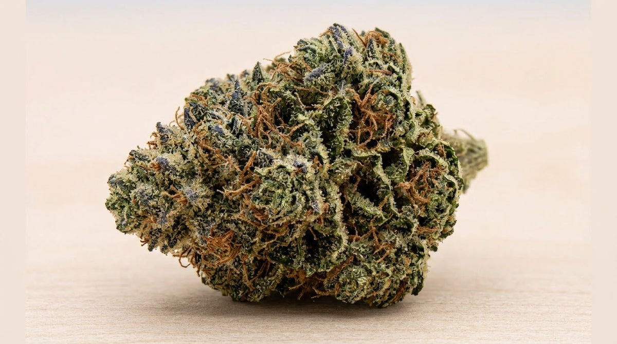 Fleur de CBD Super Skunk 18% Indoor - Fleurs de CBD