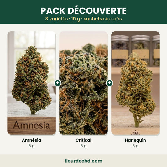 Pack découverte CBD : Amnésia, Critical et Harlequin, 3 x 5 g
