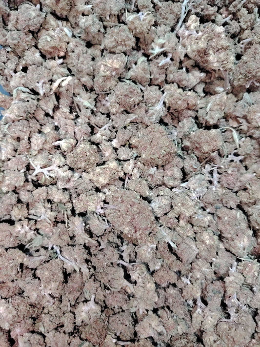Small Bud Mango cbd - Fleurs de CBD