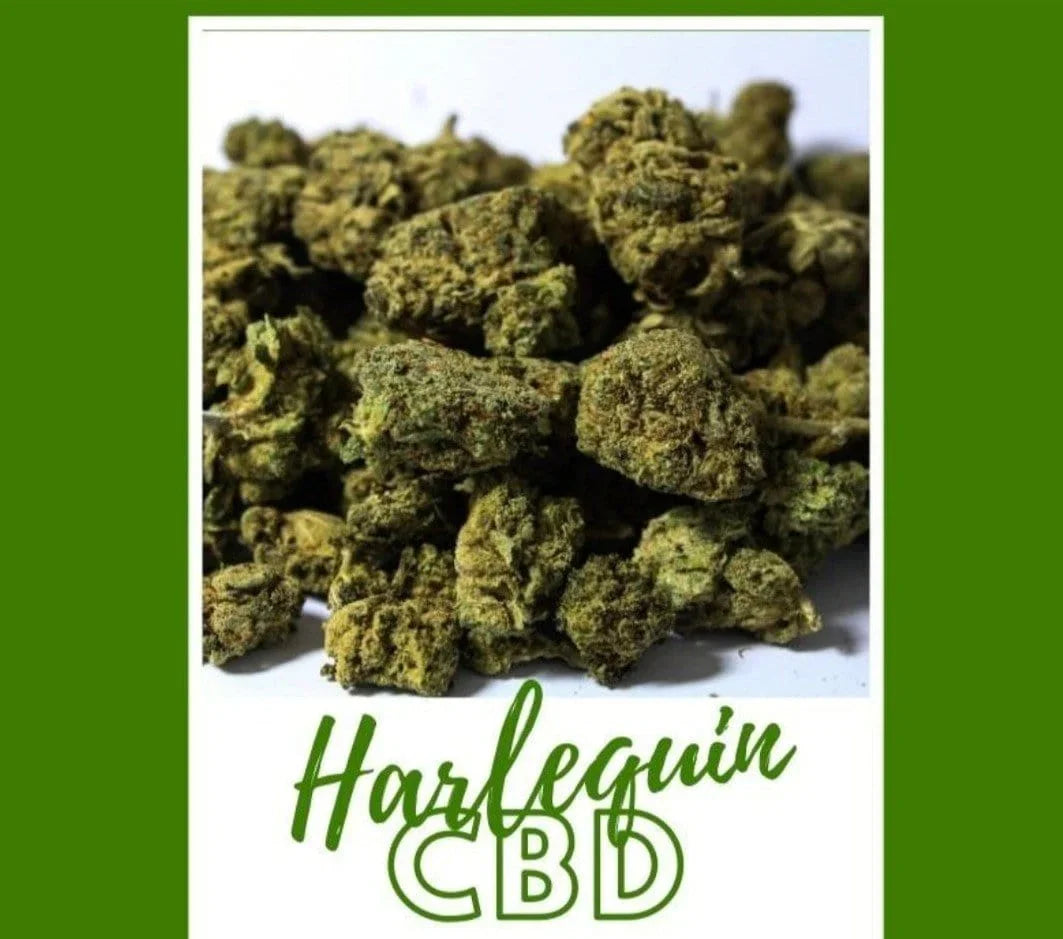 fleur cbd harlequin, fleurs cbd, cbdpas cher, cbd suisse,