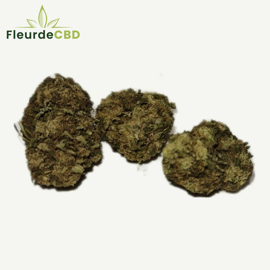 Fleur CBD Critical - Fleurs de CBD