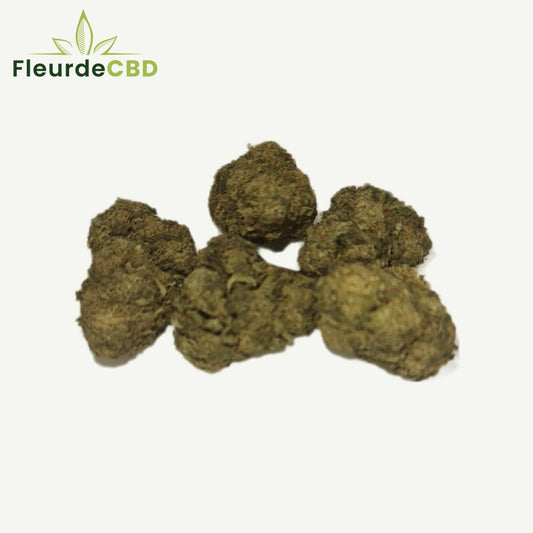 Fleur CBD Gelato - Fleurs de CBD