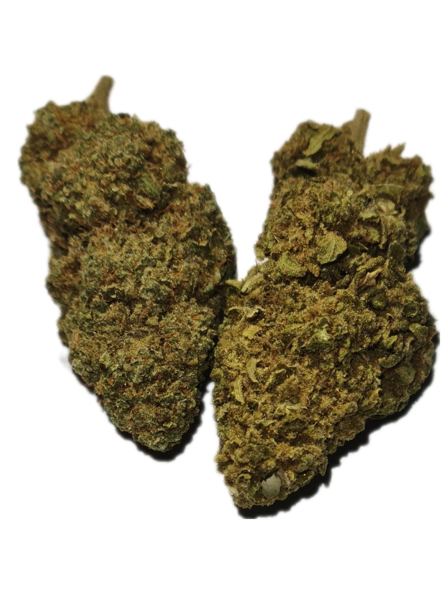 Fleur CBD Mandarin Kush - Fleurs de CBD