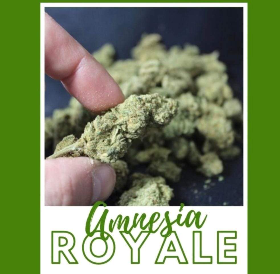 Fleur de CBD Amnésia - Fleurs de CBD