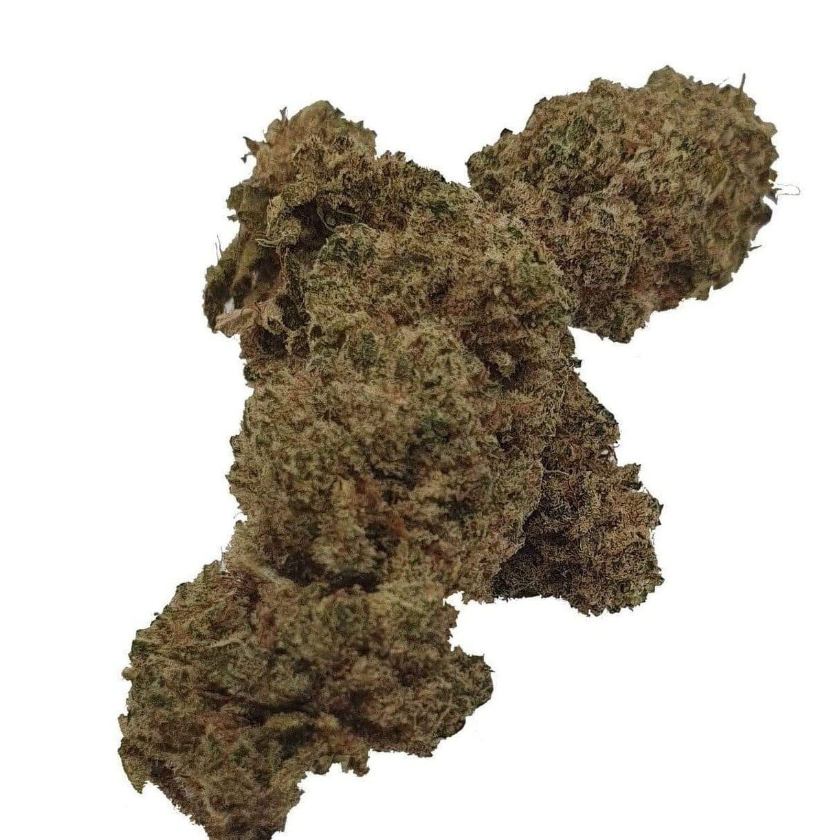 Fleur de CBD Amnésia - Fleurs de CBD