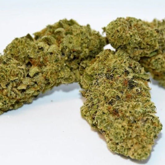 Mango Kush 19% - Fleurs de CBD