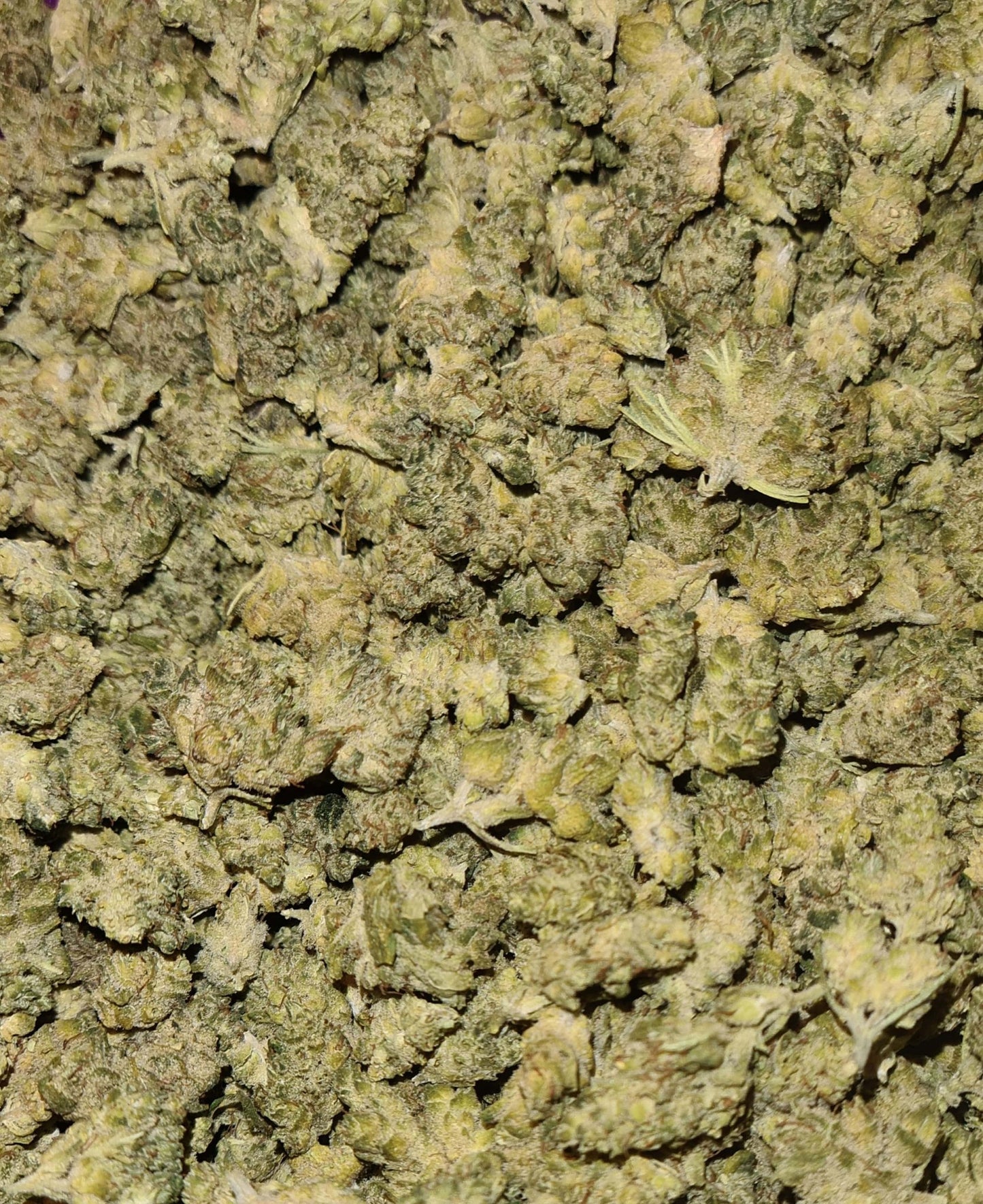 Mini bud Cheese Cake - Fleurs de CBD