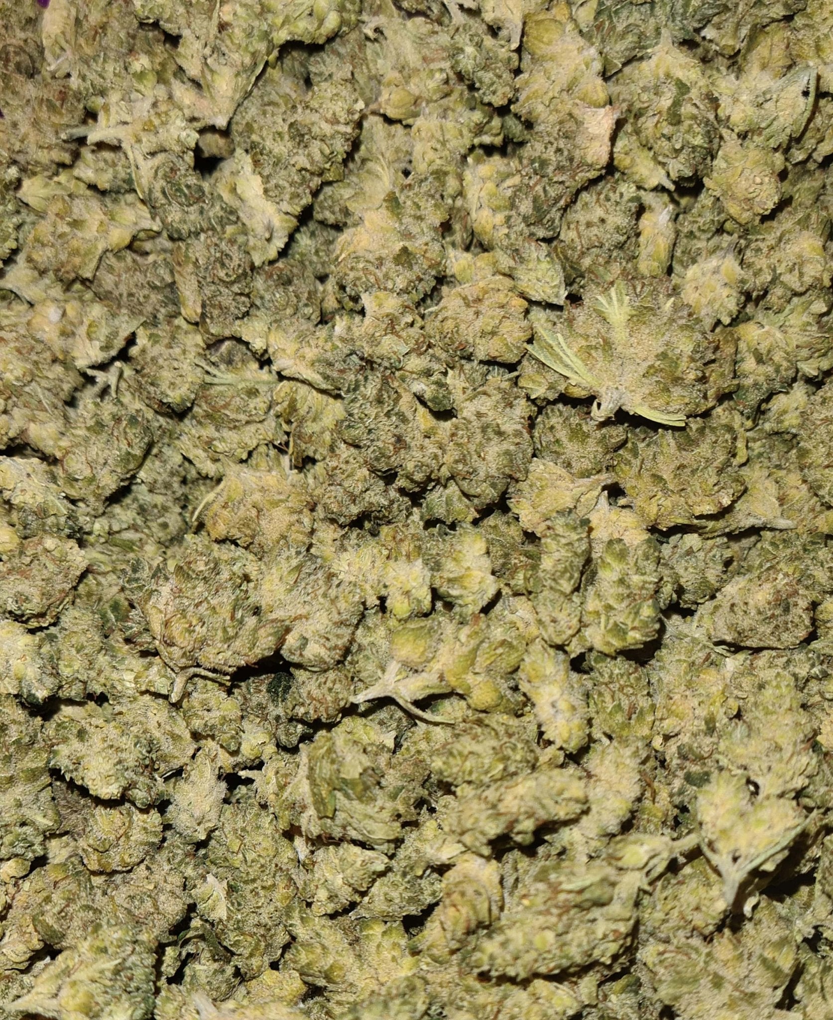 Mini bud Cheese Cake - Fleurs de CBD