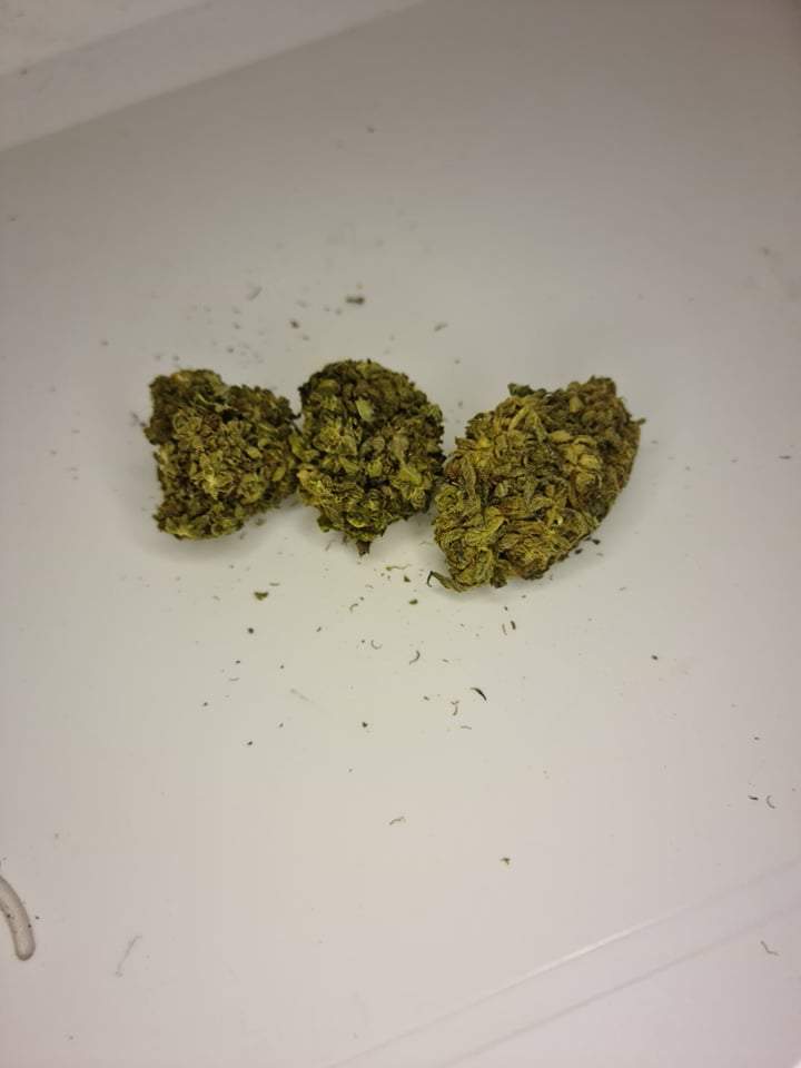 Pack Fleurs CBD de Qualité Supérieure - Fleurs de CBD